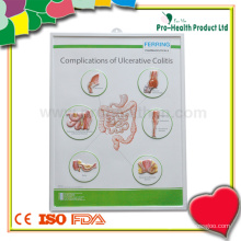 Patient Plastik Medizinische Wand Diagramm